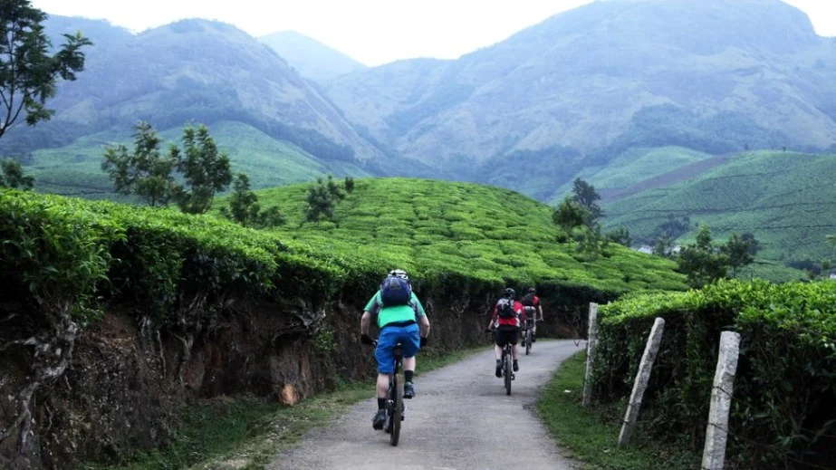 Mountain Biking in Munnar