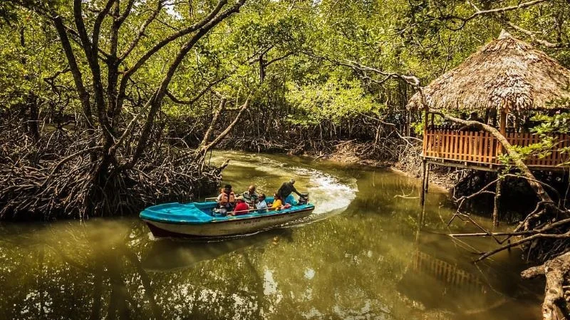 Baratang Island in andaman