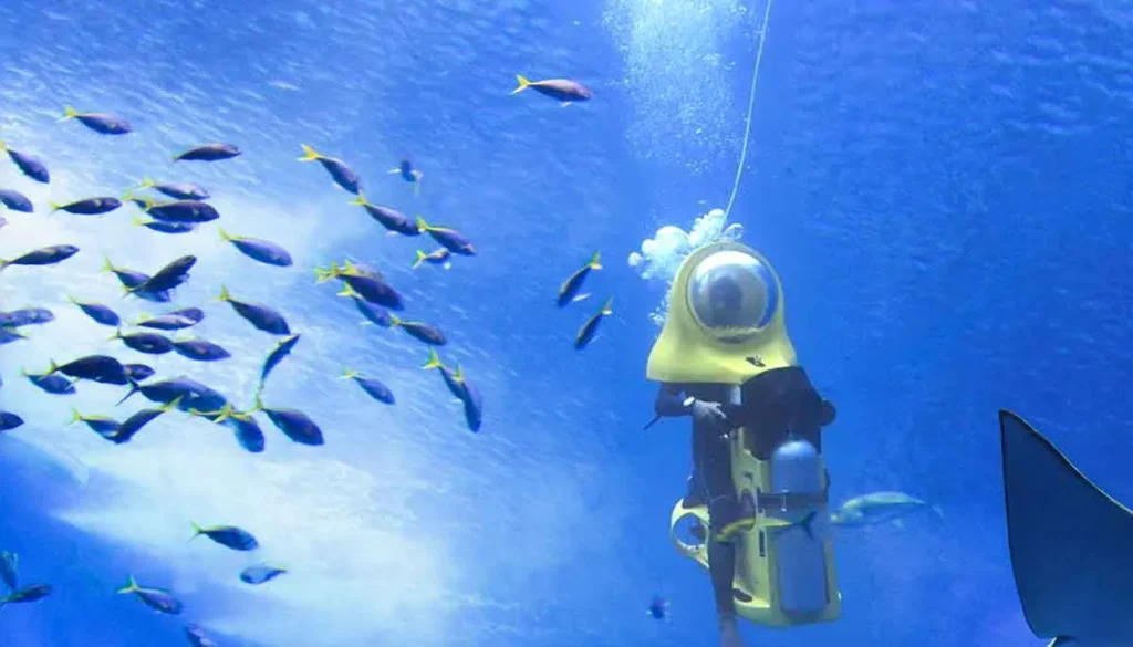 Experience Underwater Scooter Rides