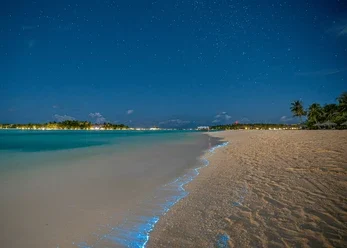 Maldives Glowing Beach visit in Maldives