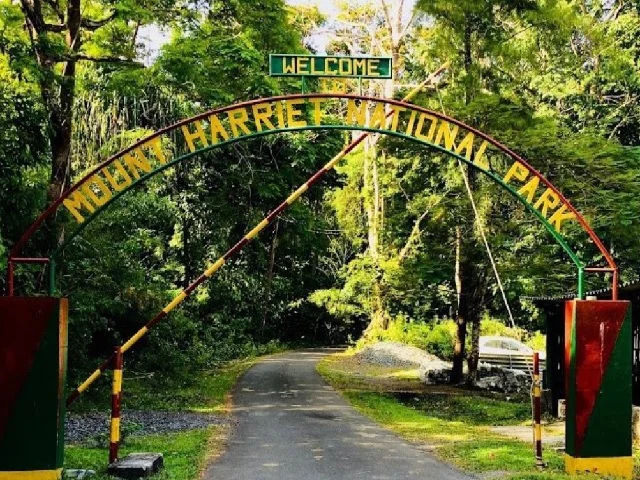 Mount Harriet National Park