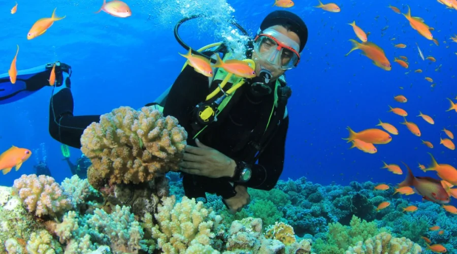 Scuba diving in the Andaman Islands