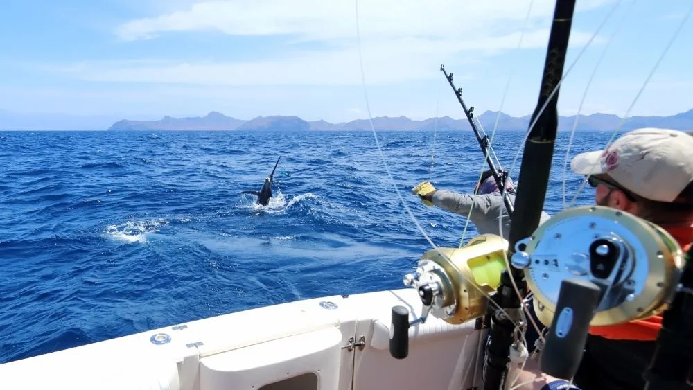 Sport fishing in Andaman