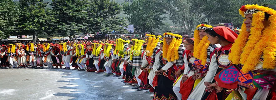 dalhousie-culture