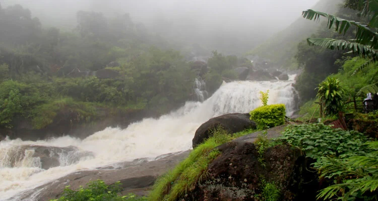 Visit Attukal Waterfalls