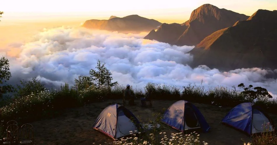 Camping in Munnar