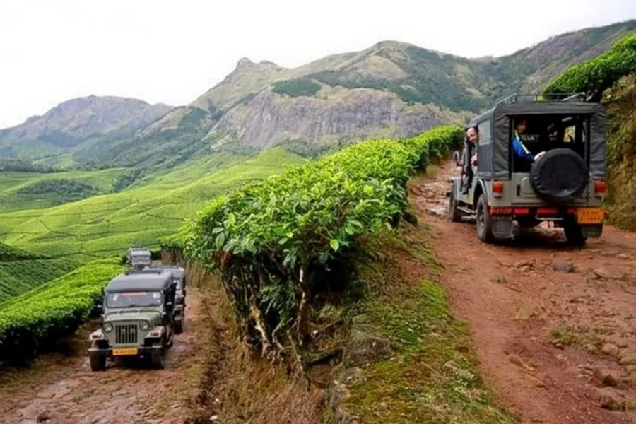 Jeep Safari in Tea Gardens