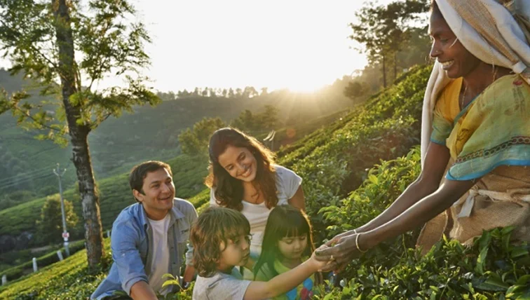 Spice Plantation Tour Munnar