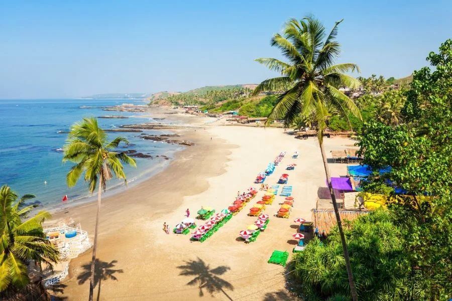 Visit Calangute Beach in Goa