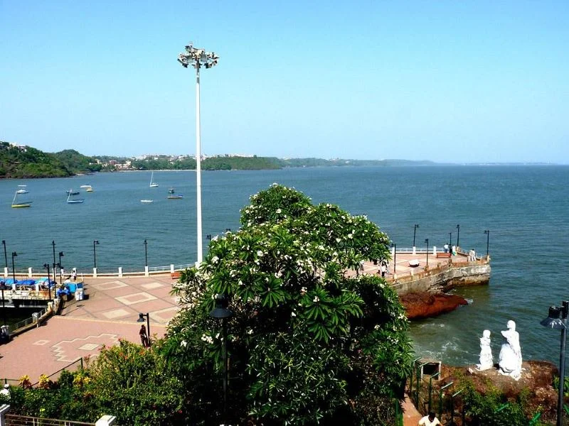 Dona Paula