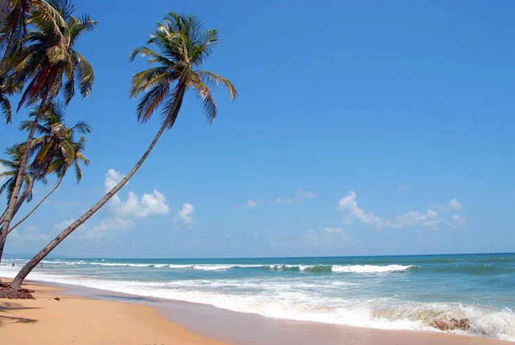 Visit Colva Beach in Goa