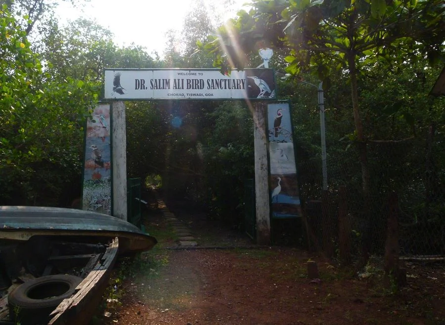 Birdwatching at Dr. Salim Ali Bird Sanctuary