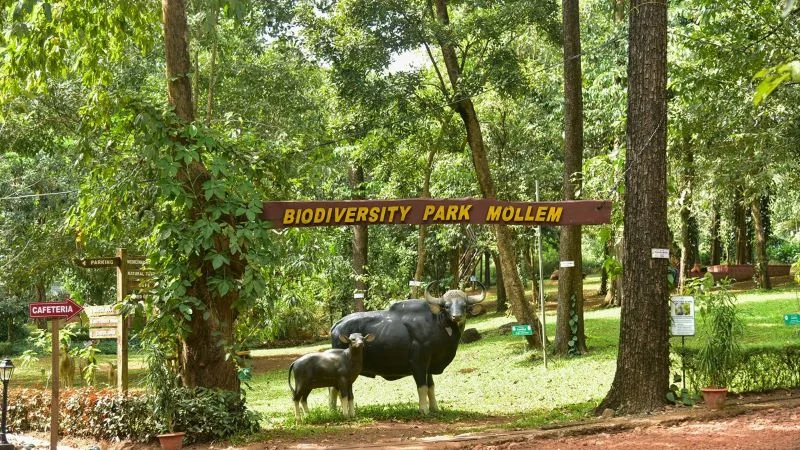 Mollem National Park