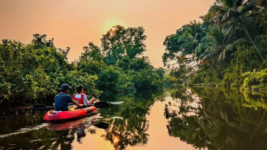 Kayaking Tour Through the Backwaters in Goa