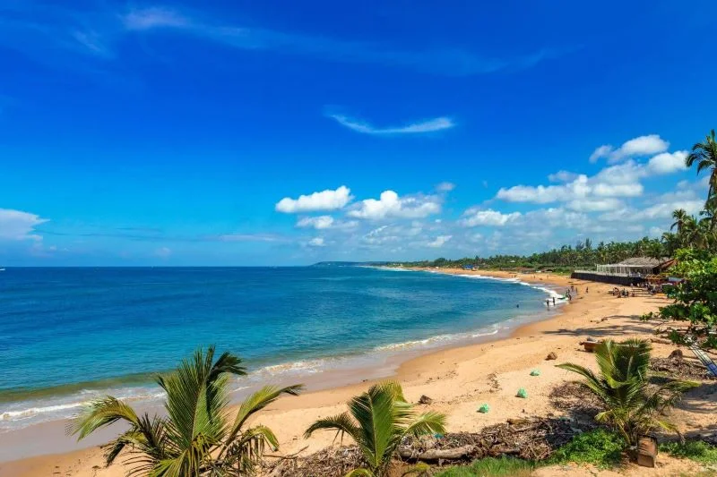 Visit Sinquerim Beach in Goa