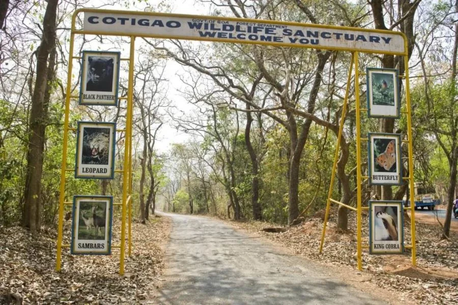 Cotigao Wildlife Sanctuary in Goa