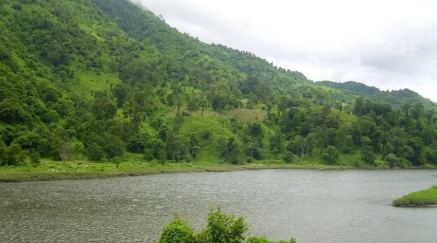 Photography and Nature Walks