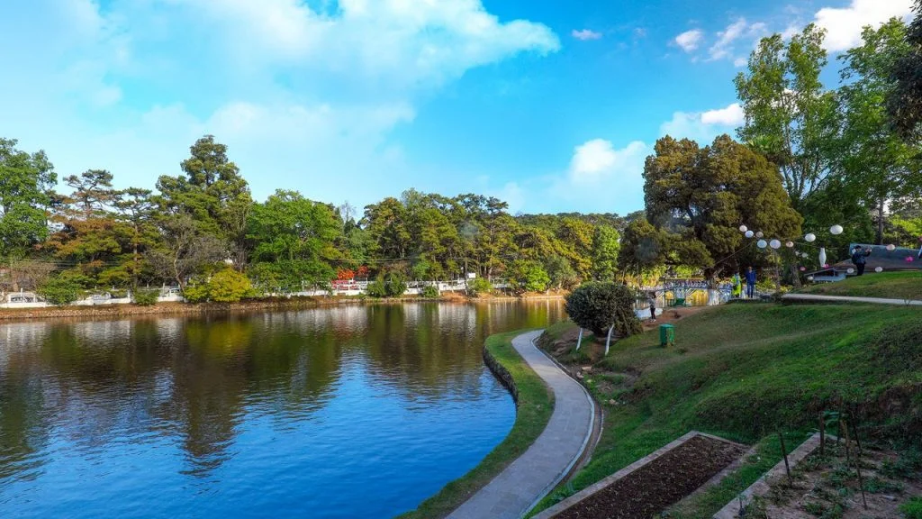 Ward's Lake