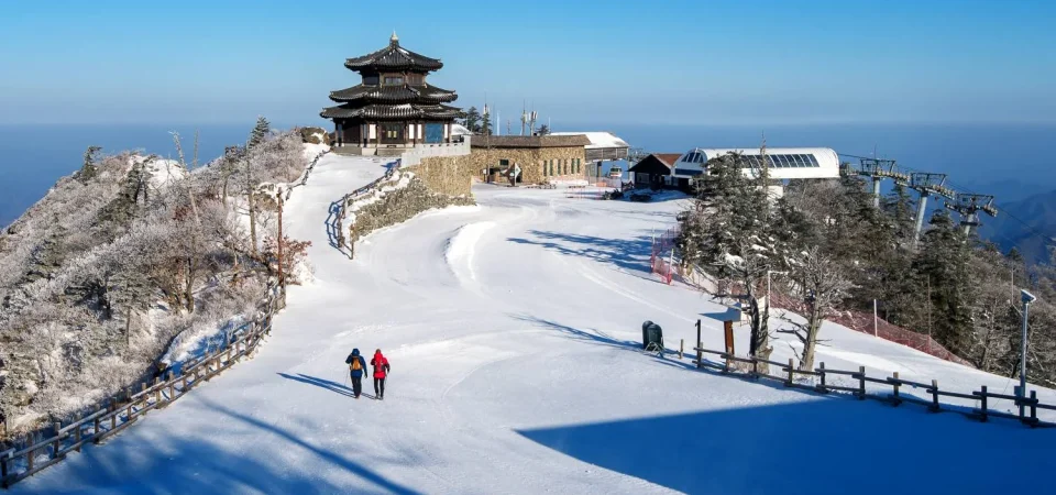 Shimla Chail Tour Package