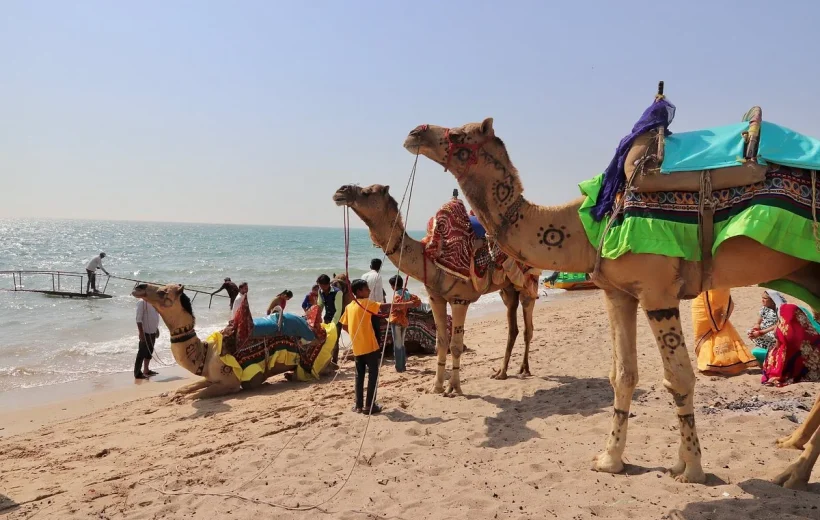 Gujarat Desert Beach Tour Package 4N/5D