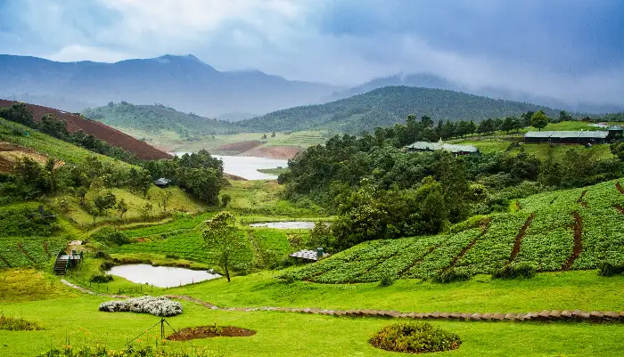 Coorg Mysore And Ooty
