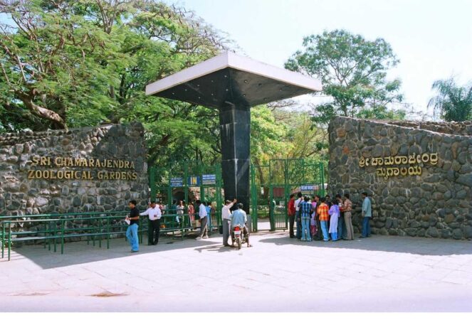 Karnataka Wildlife Tour Package with Jungle Safari