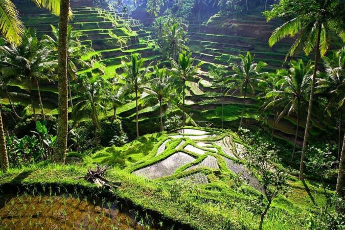 Bali Family Tour Package