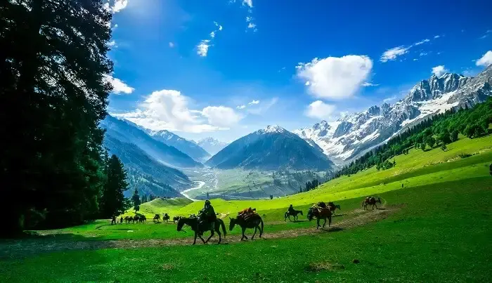 Kashmir Honeymoon Package with Pahalgam and Gulmarg 5N/6D