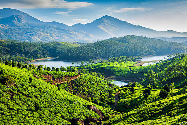 Hills Of Kerala Tour Package 5N/6D