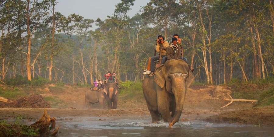 Nepal Tour Package with Chitwan National Park