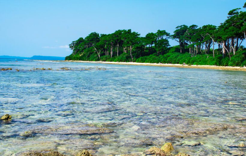 Andaman Wildlife Expedition Tour Package 4N/5D
