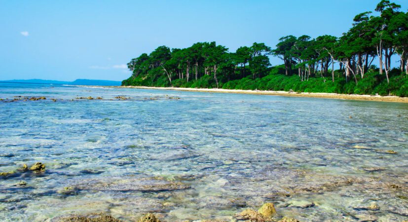 Andaman Honeymoon Special Tour Package