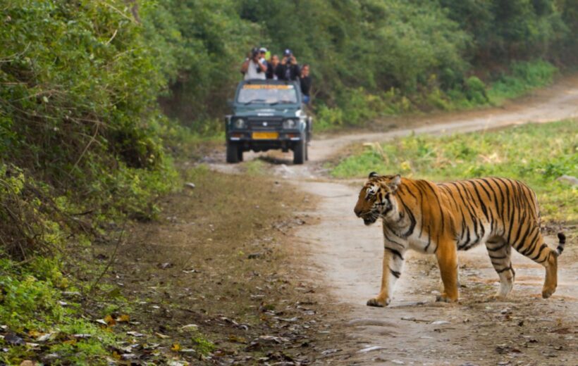 Uttarakhand Jim Corbett Safari Tour Package 2N/3D