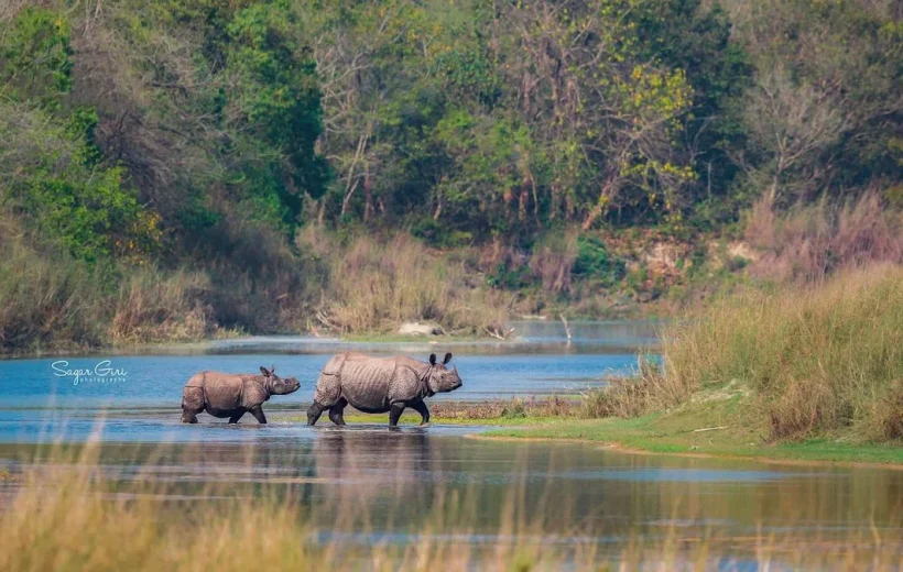 Nepal Tour Package with Chitwan National Park 6N/7D