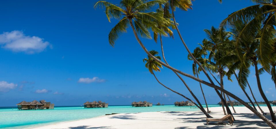 Maldives Paradise Island Resort Tour Package