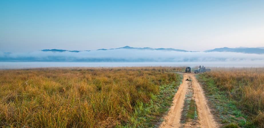 Jim Corbett Tour Package