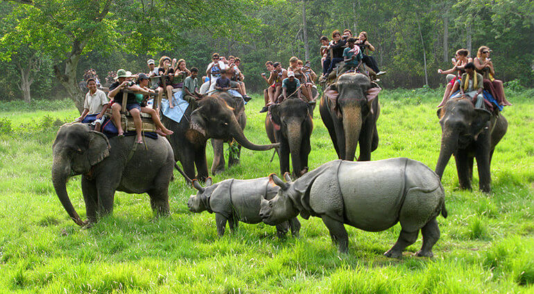 Nepal Tour Package with Chitwan National Park 6N/7D