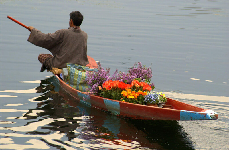 Escape to paradise with one of our all Kashmir tour packages.