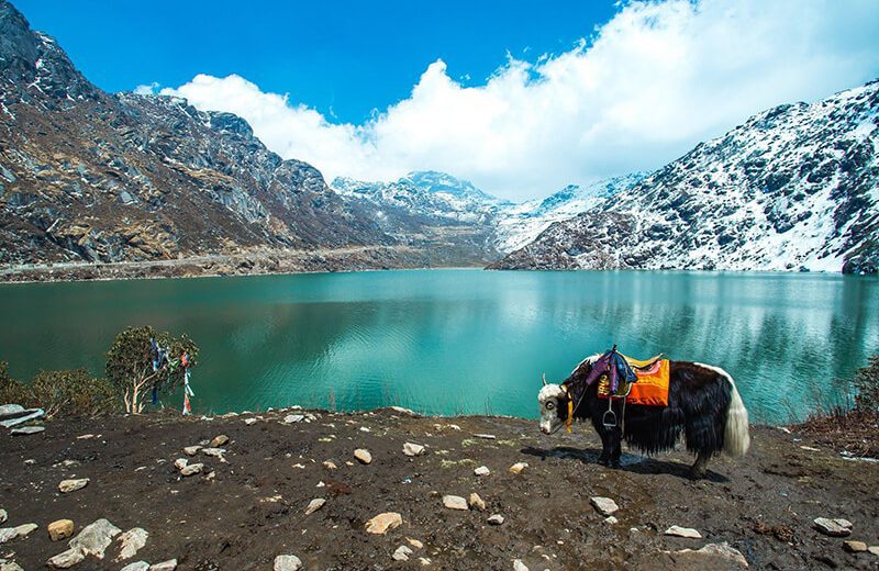 Gateway to Sikkim Tour Package 6N/7D