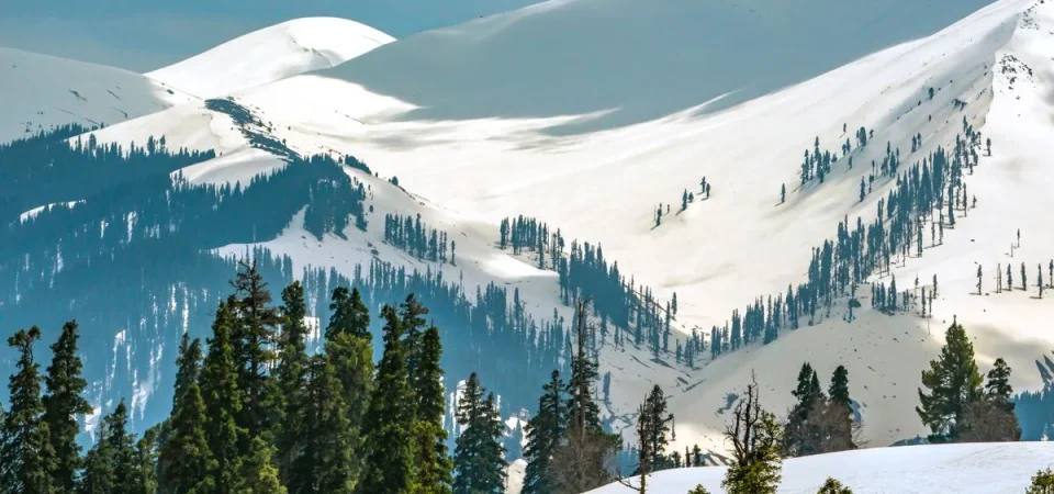 Breathtaking Kashmir with Gulmarg Tour Package