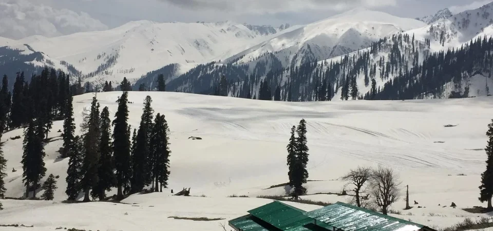 Breathtaking Kashmir with Gulmarg Tour Package