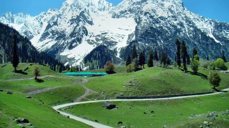 Breathtaking Kashmir with Gulmarg Tour Package