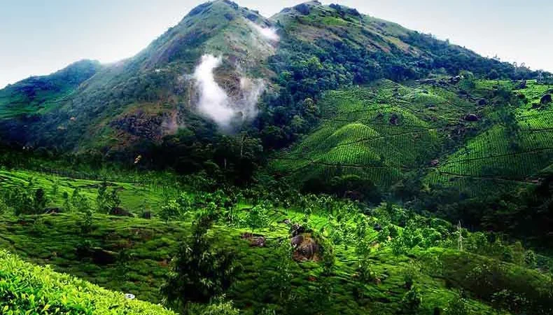 Hills Of Kerala Tour Package