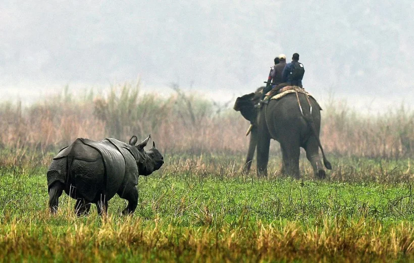 Kaziranga Guwahati Tour Package 5N/6D