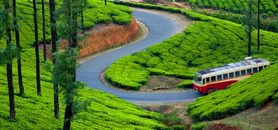 Kerala Group Tour Package