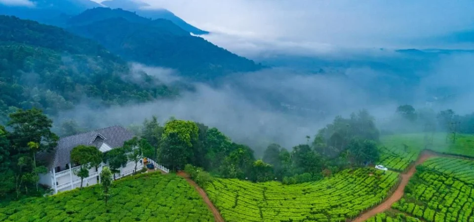 Munnar Hills Tour Package