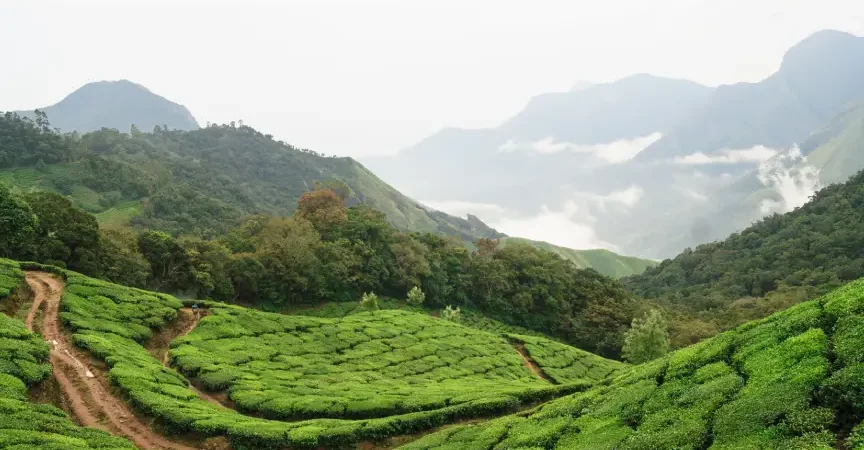 Munnar Hills Tour Package