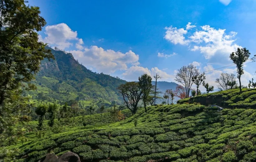 Munnar Hills Tour Package 4N/5D