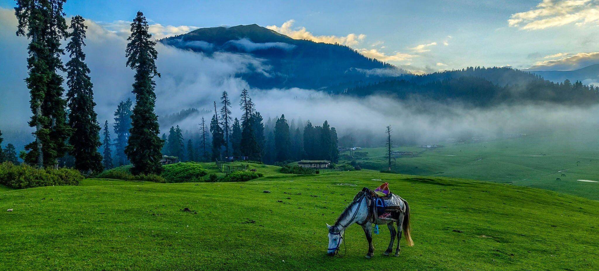 Kashmir Tour Package: Explore the Paradise on Earth