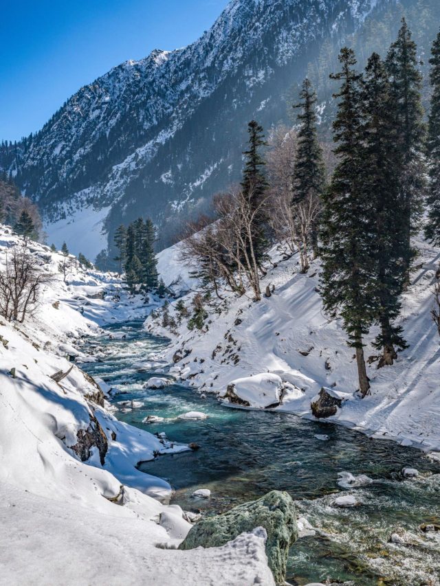 Best Tour Package for Manali